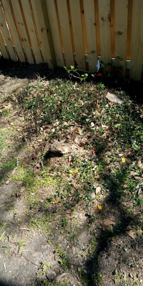 Reliable outdoor landscaping experts serving Bay Minette, AL - Anderson's Lawn Maintenance and Pressure Washing