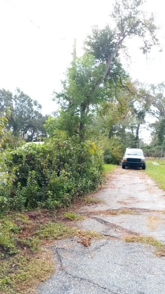 Professional outdoor landscaping near you across Bay Minette, AL - Anderson's Lawn Maintenance and Pressure Washing