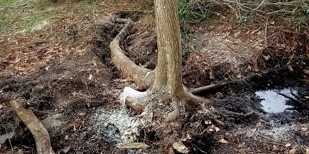 Expert landscape installation for homes in Bay Minette, AL by Anderson's Lawn Maintenance and Pressure Washing