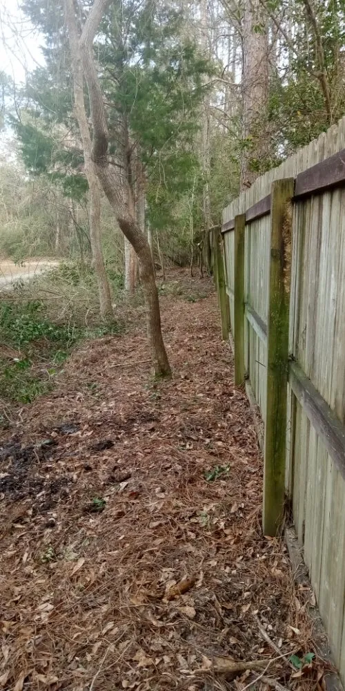 Trusted lawn care service experts serving Bay Minette, AL - Anderson's Lawn Maintenance and Pressure Washing