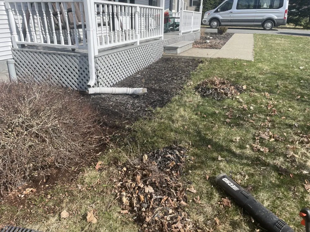 Expert yard cleanup service in Worcester, VT by Anderson’s Property Maintenance