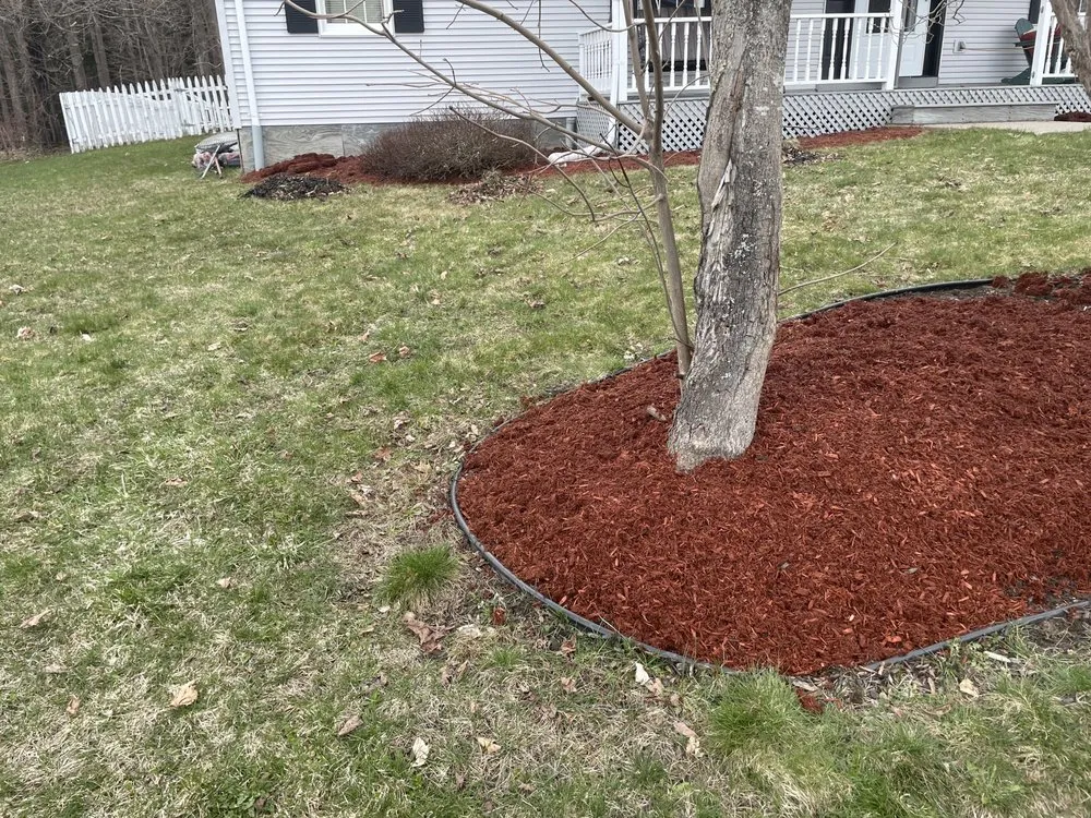 Reliable lawn mowing service experts serving Worcester, VT - Anderson’s Property Maintenance