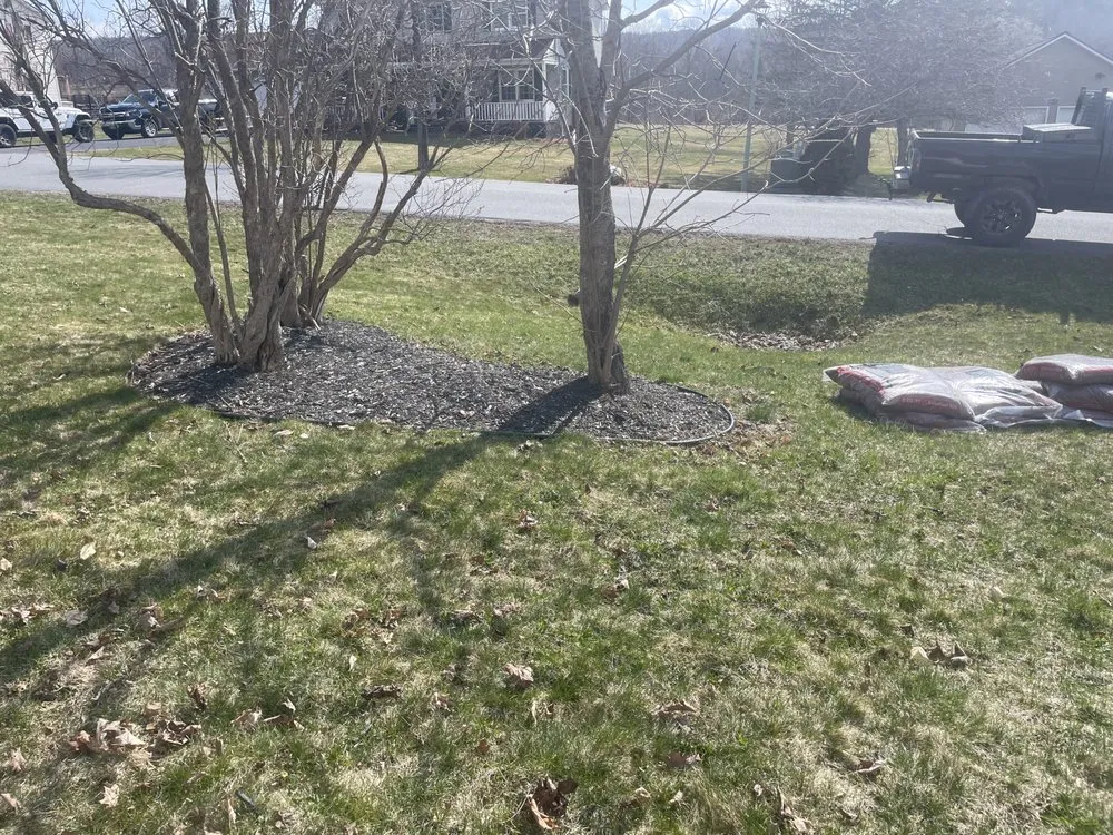 Expert residential landscaping near you in Worcester, VT by Anderson’s Property Maintenance