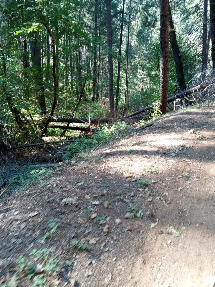 Professional lawn mowing service in Reno, NV - Andersons side Work