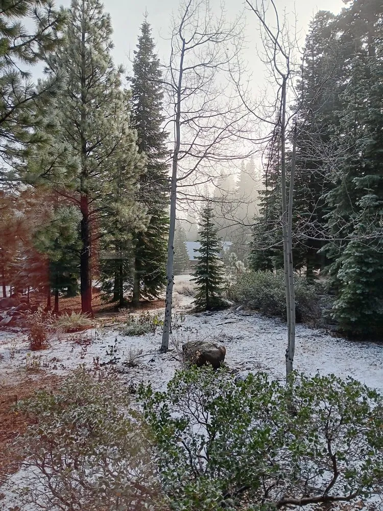 Affordable lawn mowing service with custom design across Reno, NV - Andersons side Work