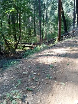 Andersons side Work Logo