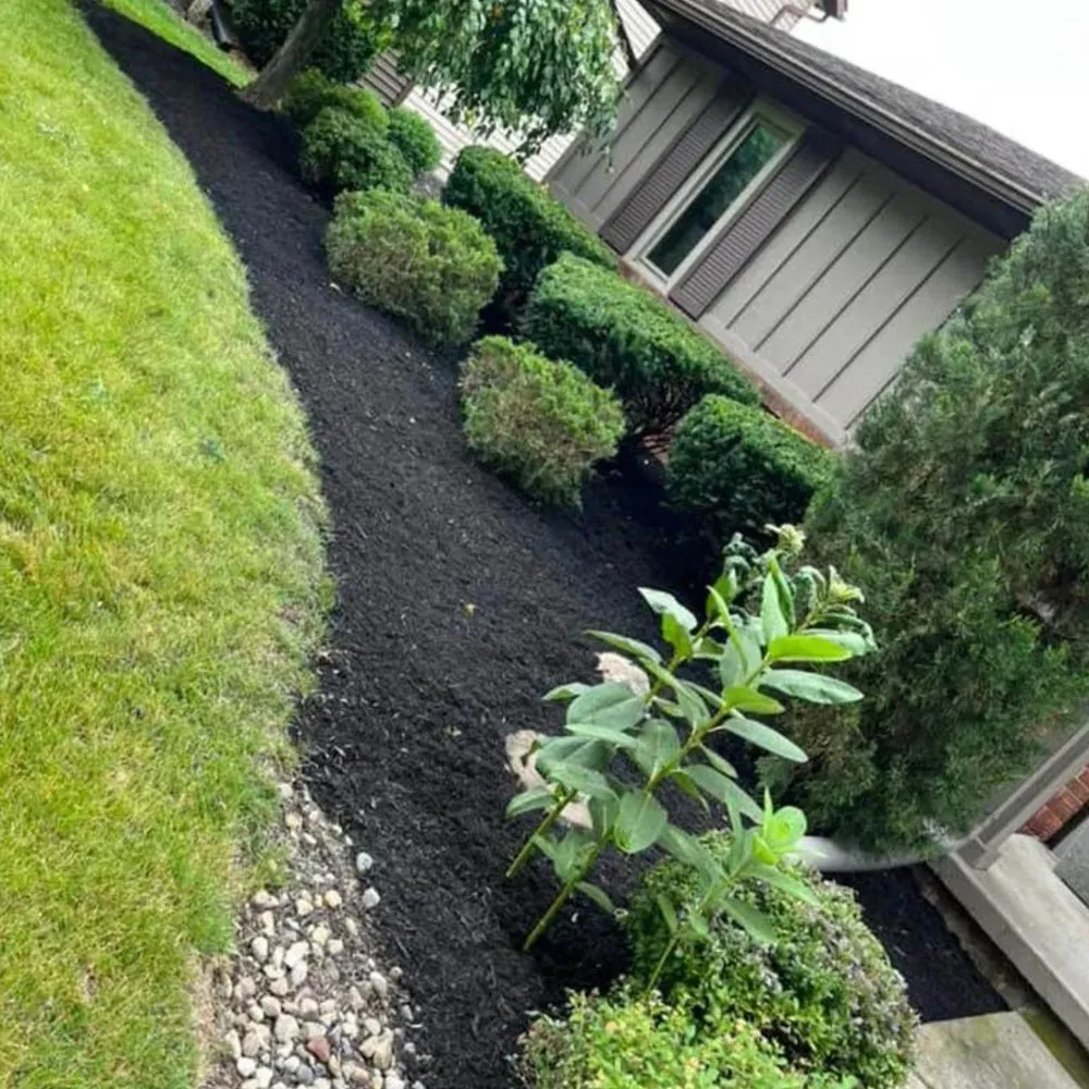 Expert yard cleanup service for beautiful yards in Lima, OH by Anderson's Total Lawn Care