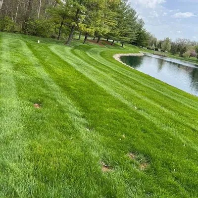 Anderson's Total Lawn Care Logo