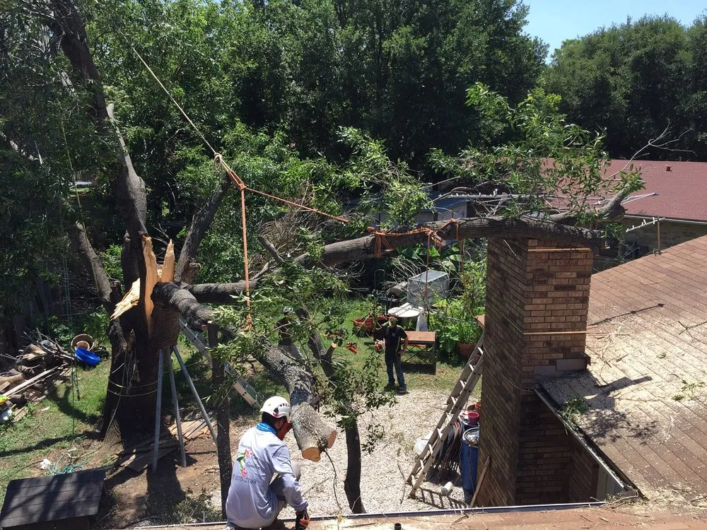 Trusted landscape design for year-round maintenance across Fort Worth, TX - Anderton Tree Service