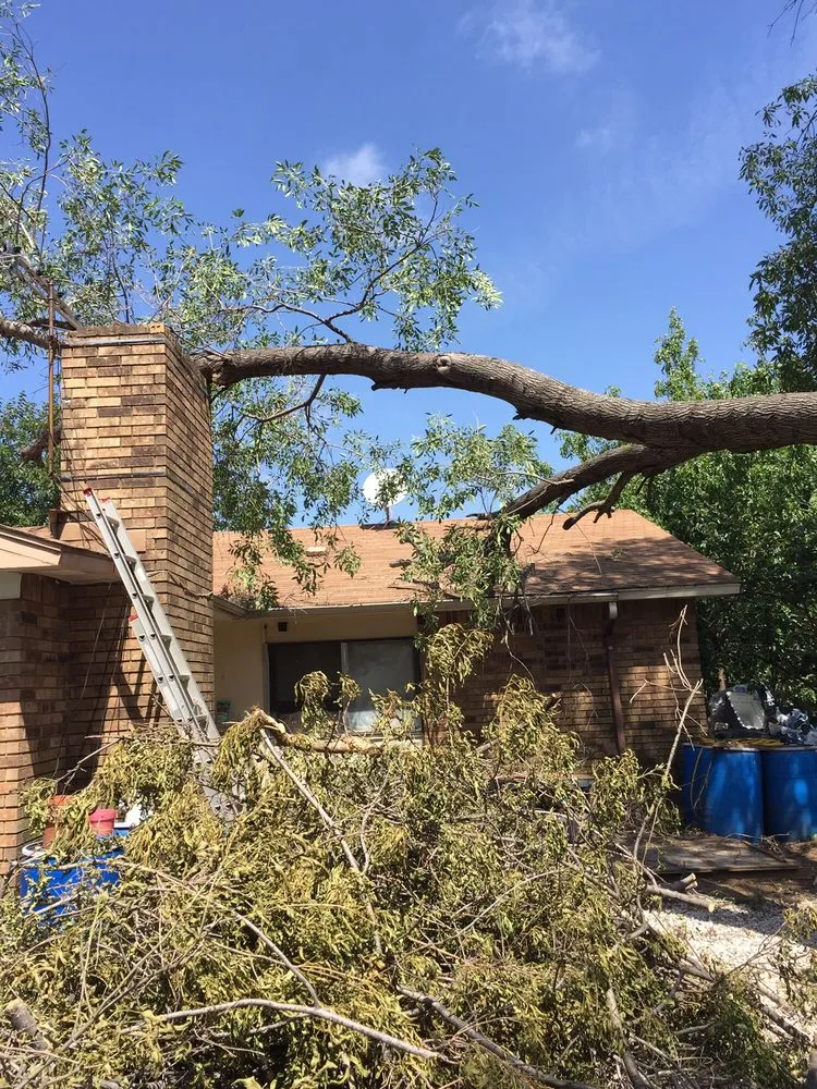 Reliable garden landscaping in Fort Worth, TX by Anderton Tree Service