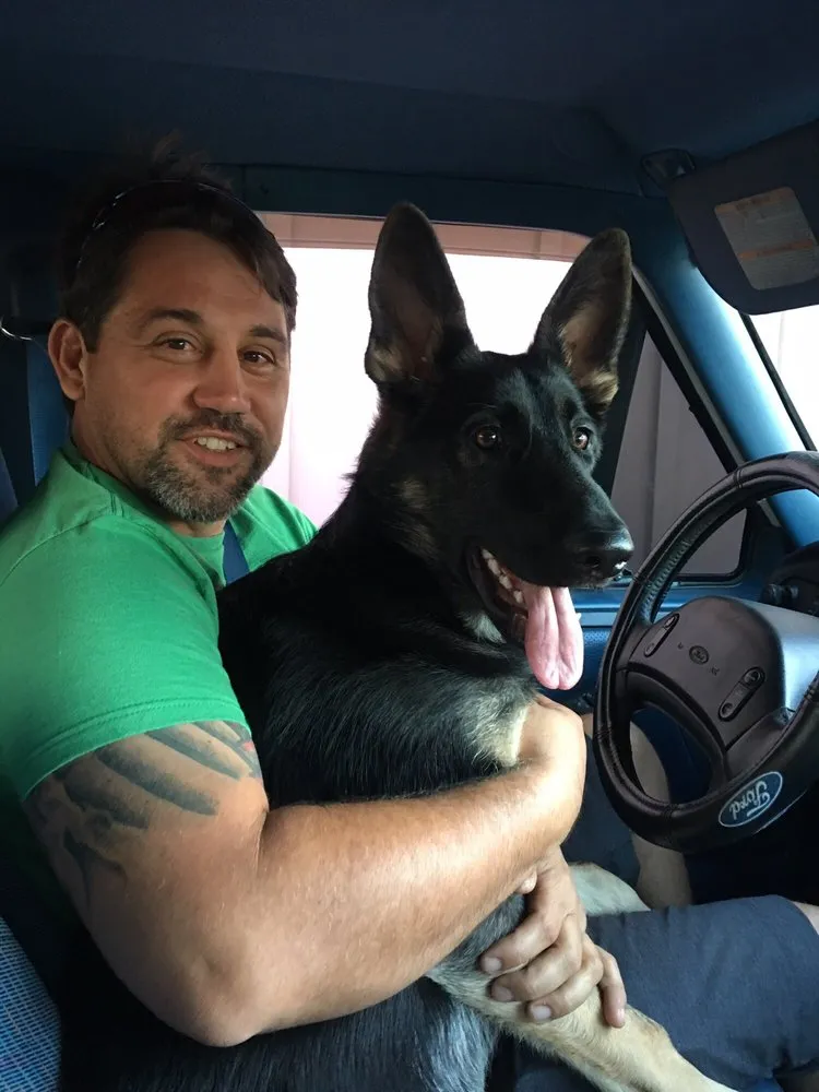 Trusted yard cleanup service experts serving Fort Worth, TX - Anderton Tree Service