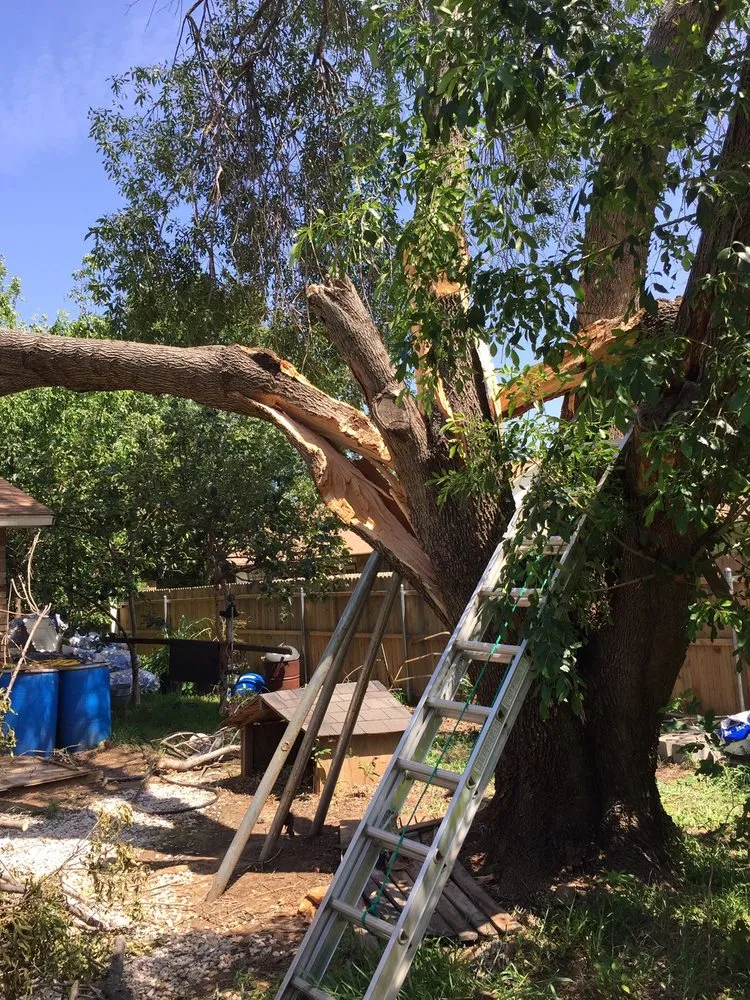 Affordable garden landscaping in Fort Worth, TX - Anderton Tree Service