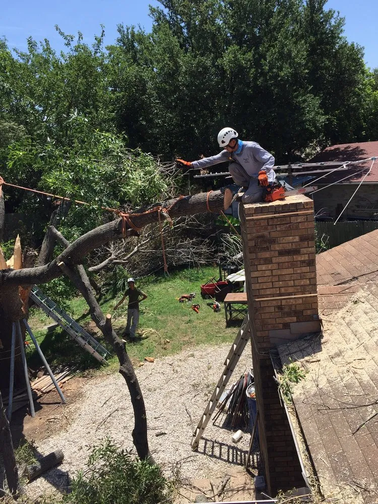 Local garden landscaping in Fort Worth, TX by Anderton Tree Service