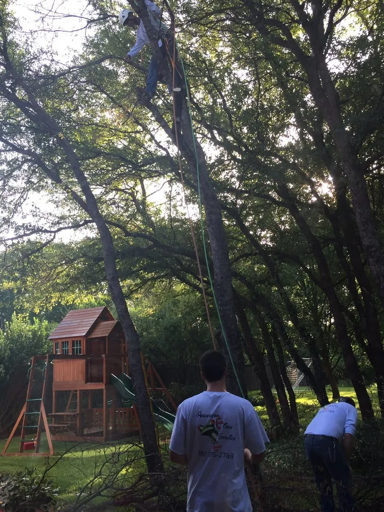 Affordable landscape design with custom design in Fort Worth, TX by Anderton Tree Service