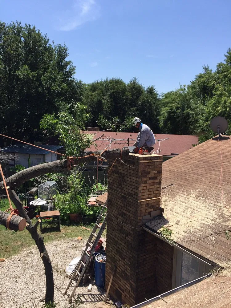 Expert landscape design in Fort Worth, TX by Anderton Tree Service