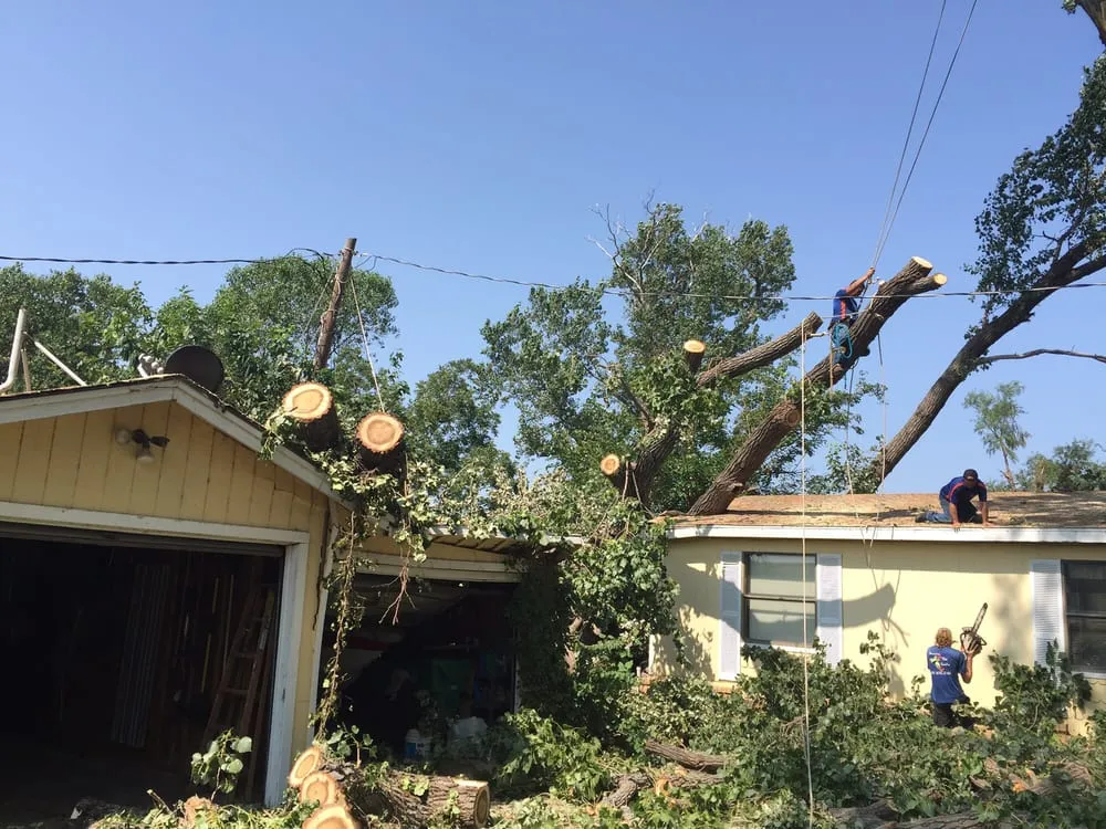 Custom outdoor landscaping in Burleson, TX by Anderton Tree Services