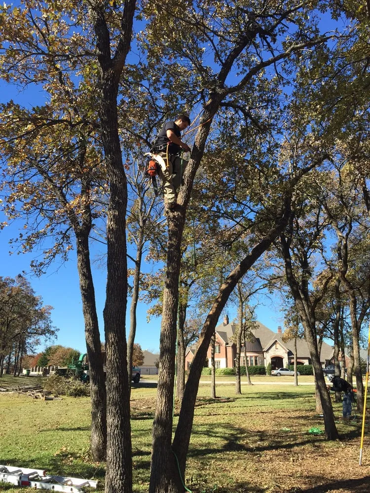 Expert residential landscaping in Burleson, TX - Anderton Tree Services