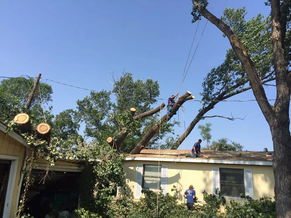 Local yard maintenance in Burleson, TX by Anderton Tree Services