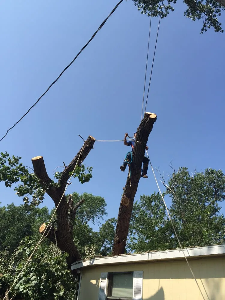 Trusted garden landscaping for beautiful yards across Burleson, TX - Anderton Tree Services