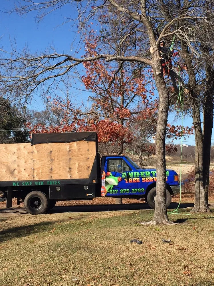 Local landscaping services experts serving Burleson, TX - Anderton Tree Services