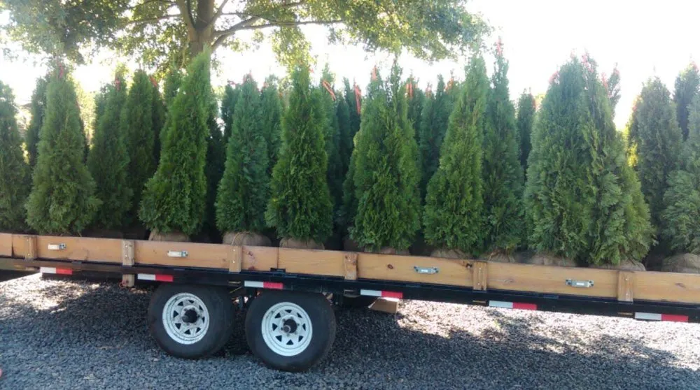 Professional outdoor landscaping for year-round maintenance across Catawissa, PA - Andes Nursery