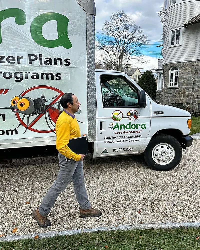 Affordable yard cleanup service for residential properties in Larchmont, NY by Andora Lawn Care