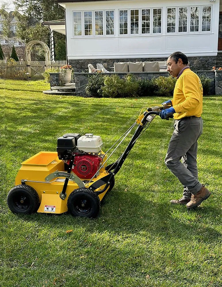 Reliable lawn mowing service in Larchmont, NY - Andora Lawn Care