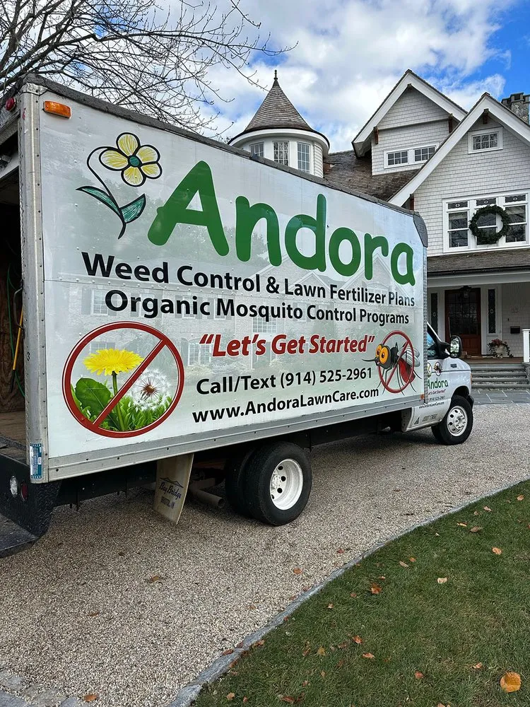 Custom lawn care service for outdoor upgrades in Larchmont, NY by Andora Lawn Care