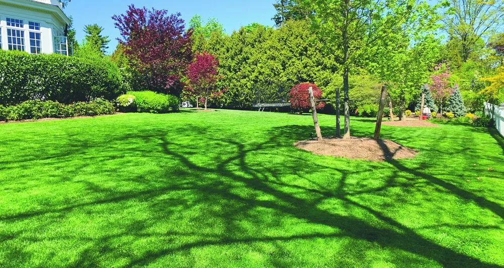 Top-rated lawn mowing service with custom design in Larchmont, NY by Andora Lawn Care