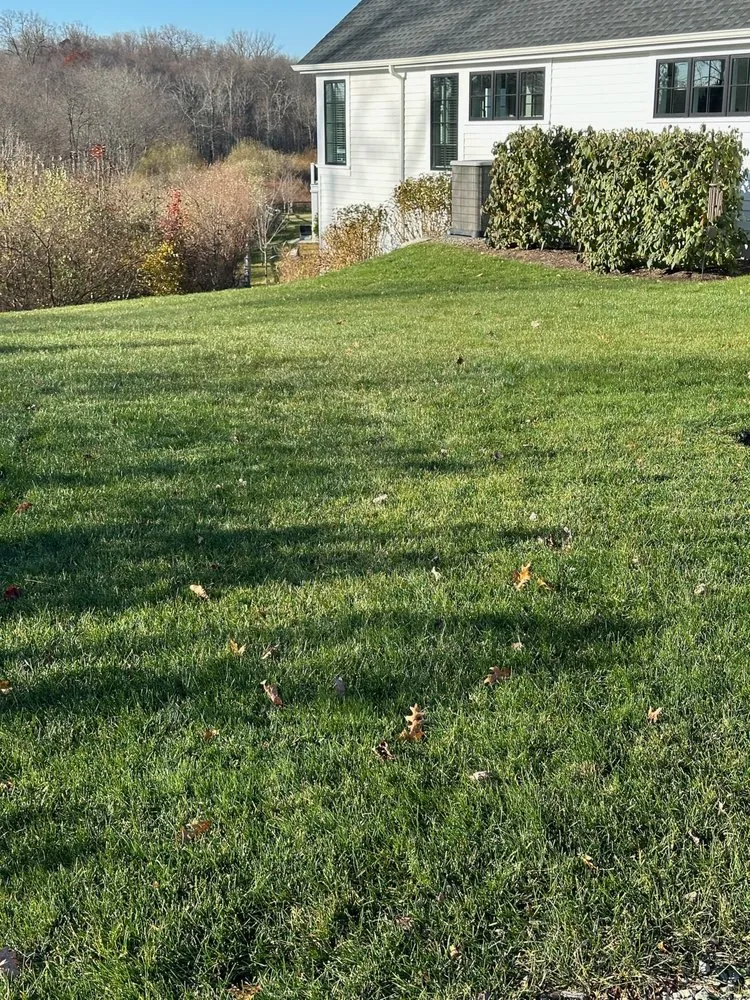 Professional landscaping services in Larchmont, NY by Andora Lawn Care
