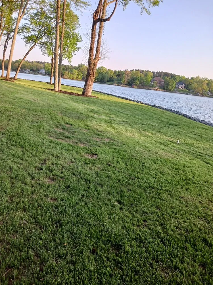 Expert landscape installation for homes in York, SC by Andrade Green Landscaping