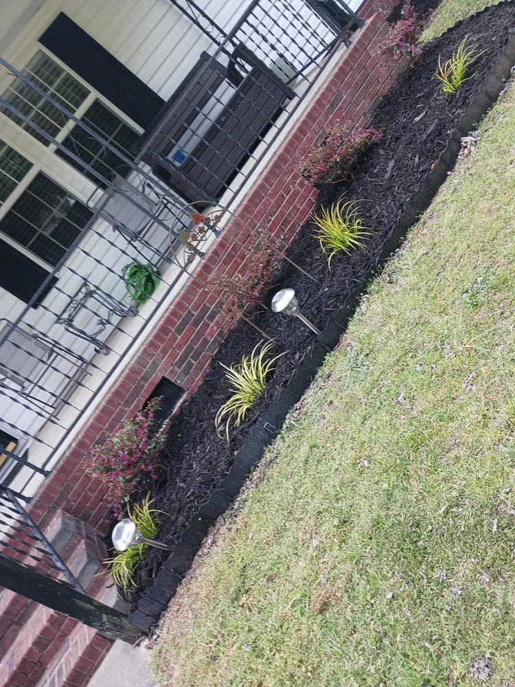 Affordable landscape installation experts serving York, SC - Andrade Green Landscaping