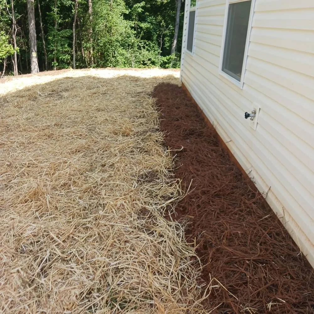 Top-rated landscape installation with custom design in York, SC by Andrade Green Landscaping