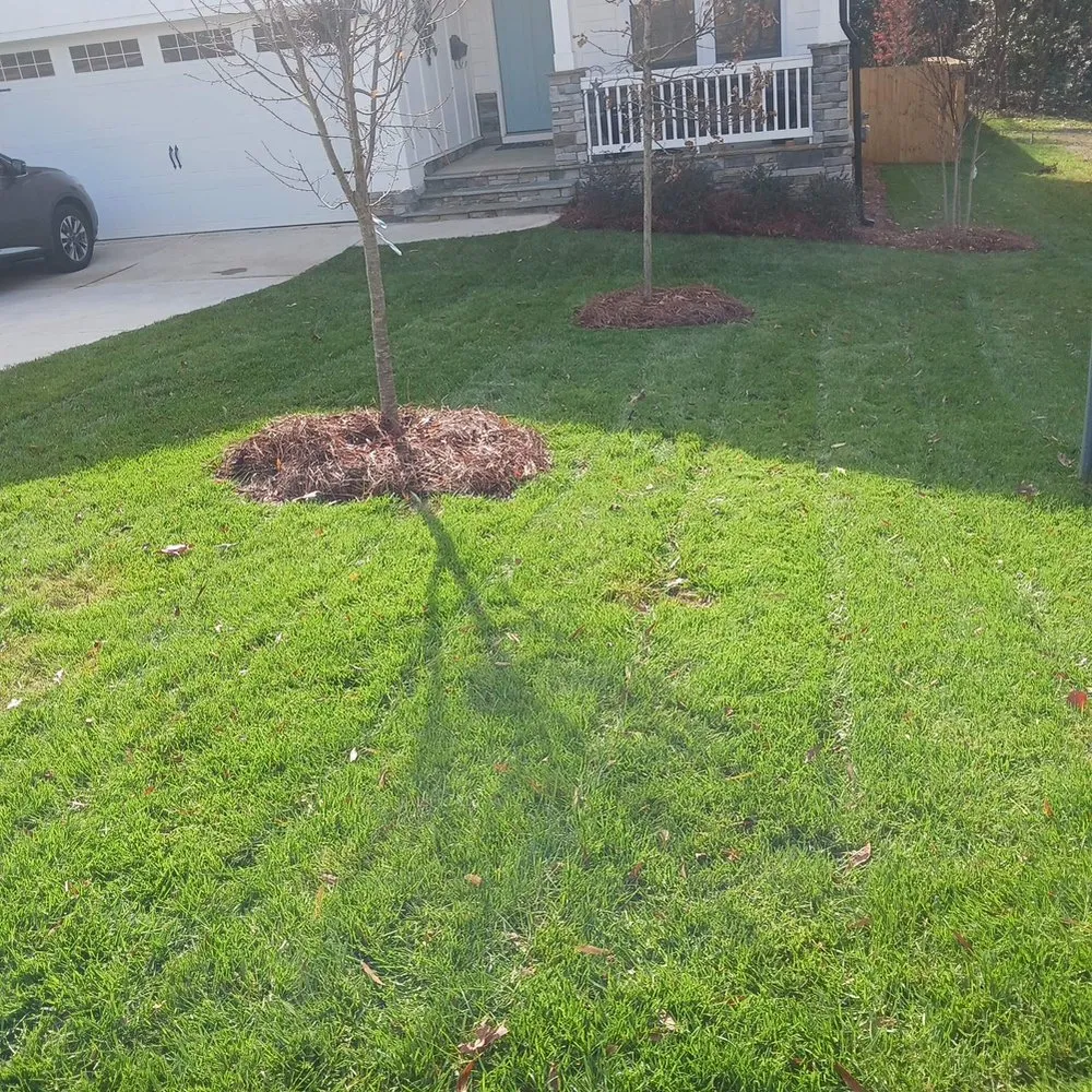 Expert garden landscaping experts serving York, SC - Andrade Green Landscaping