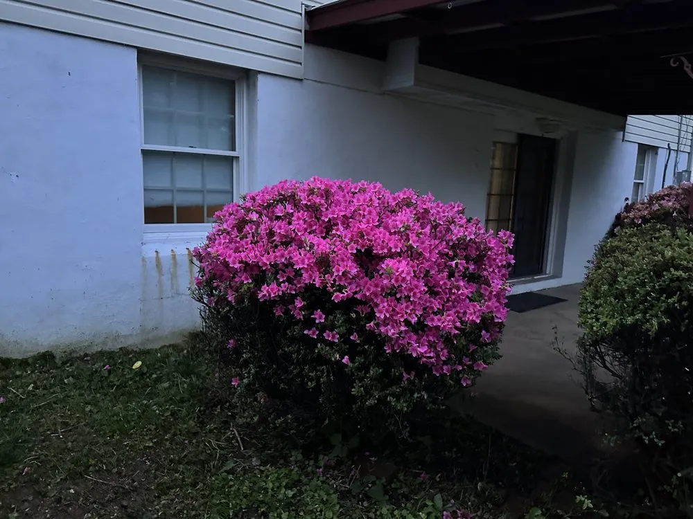 Top-rated lawn care service for residential properties across Hampstead, MD - Andrade