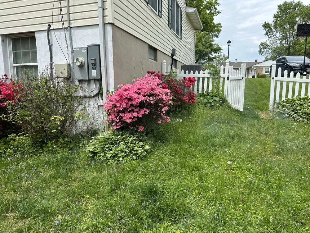 Trusted lawn mowing service for year-round maintenance across Hampstead, MD - Andrade
