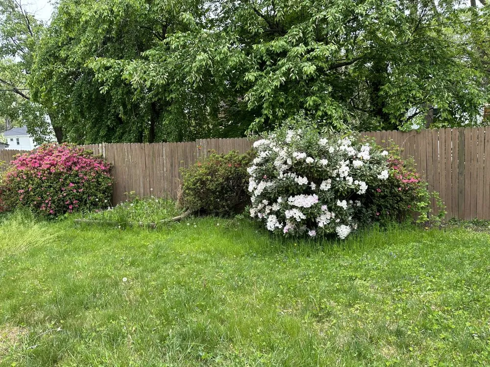 Affordable lawn care service in Hampstead, MD by Andrade