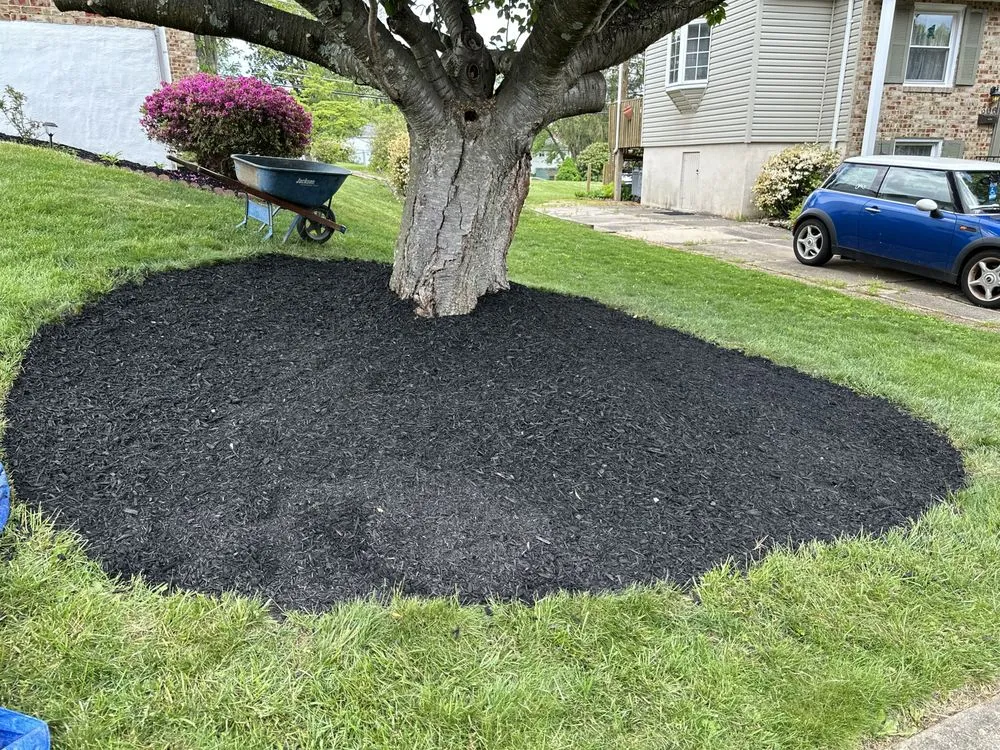 Expert lawn mowing service in Hampstead, MD - Andrade