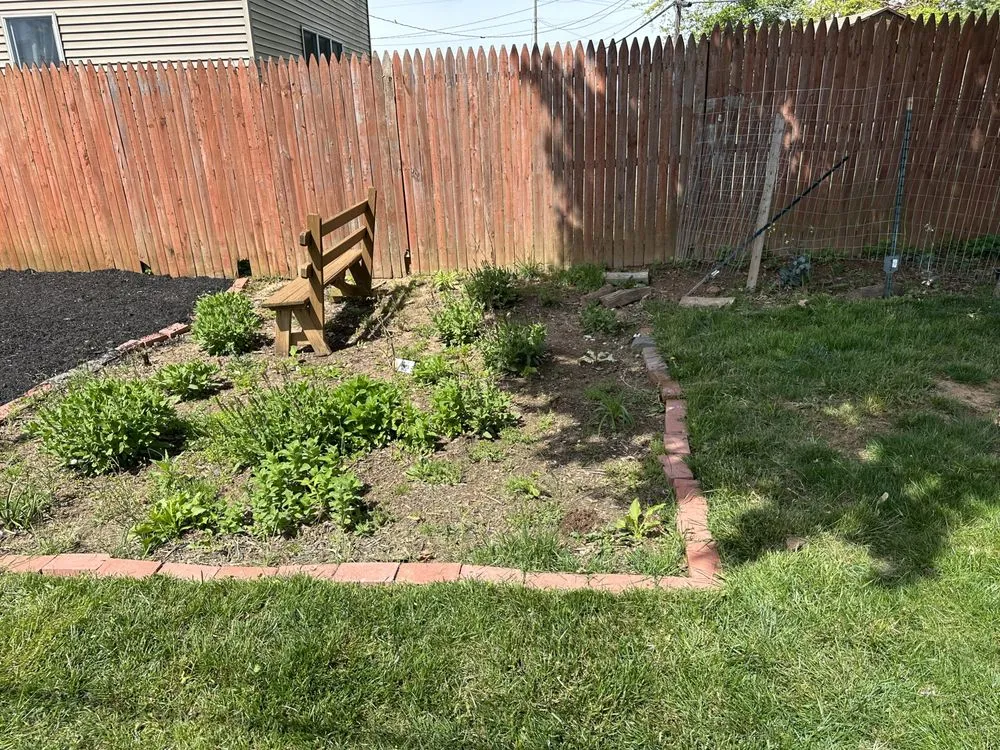 Trusted landscape design for beautiful yards across Hampstead, MD - Andrade