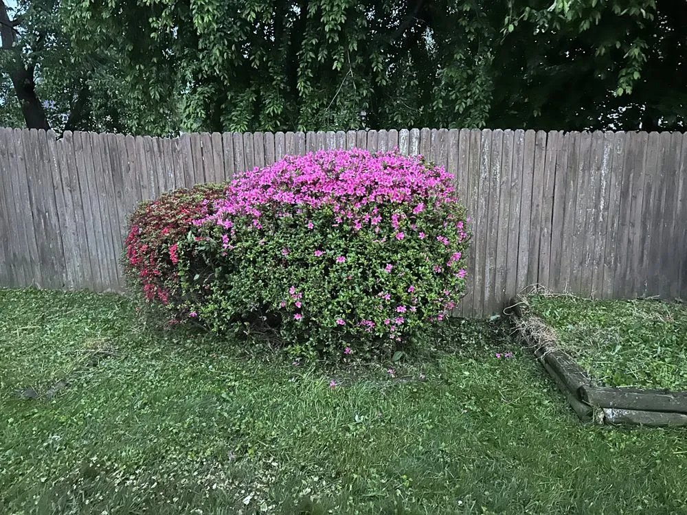 Professional yard maintenance for beautiful yards across Hampstead, MD - Andrade