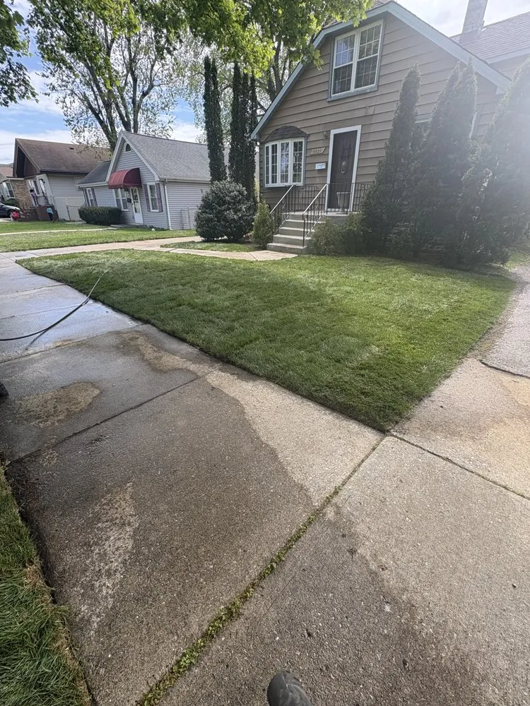 Trusted lawn care service in Chicago, IL - Andrade Landscape
