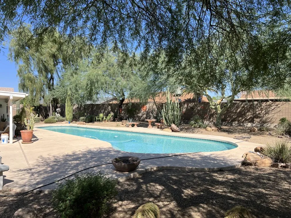 Top-rated yard cleanup service for residential properties across Peoria, AZ - Andrade Landscape Management