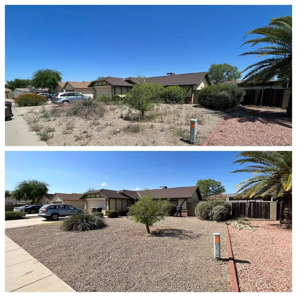 Top-rated residential landscaping for homes across Peoria, AZ - Andrade Landscape Management