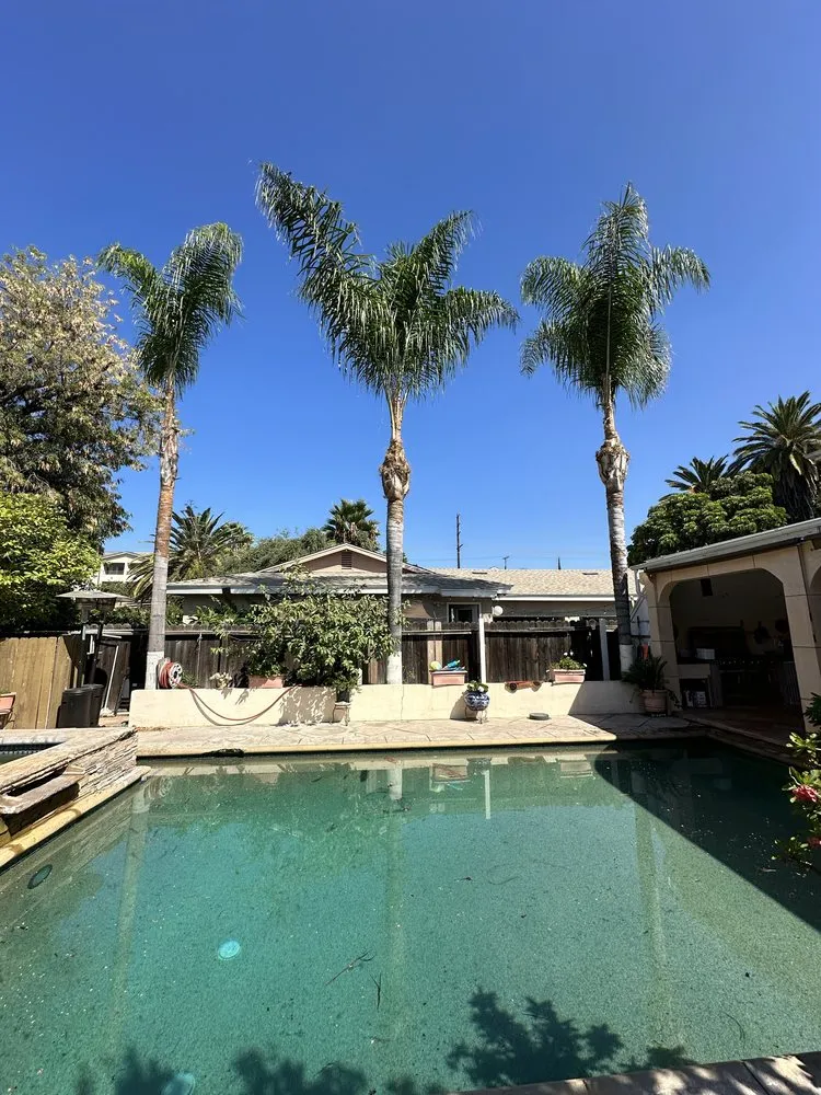 Expert yard cleanup service in San Fernando Valley, CA - Andrade Landscape