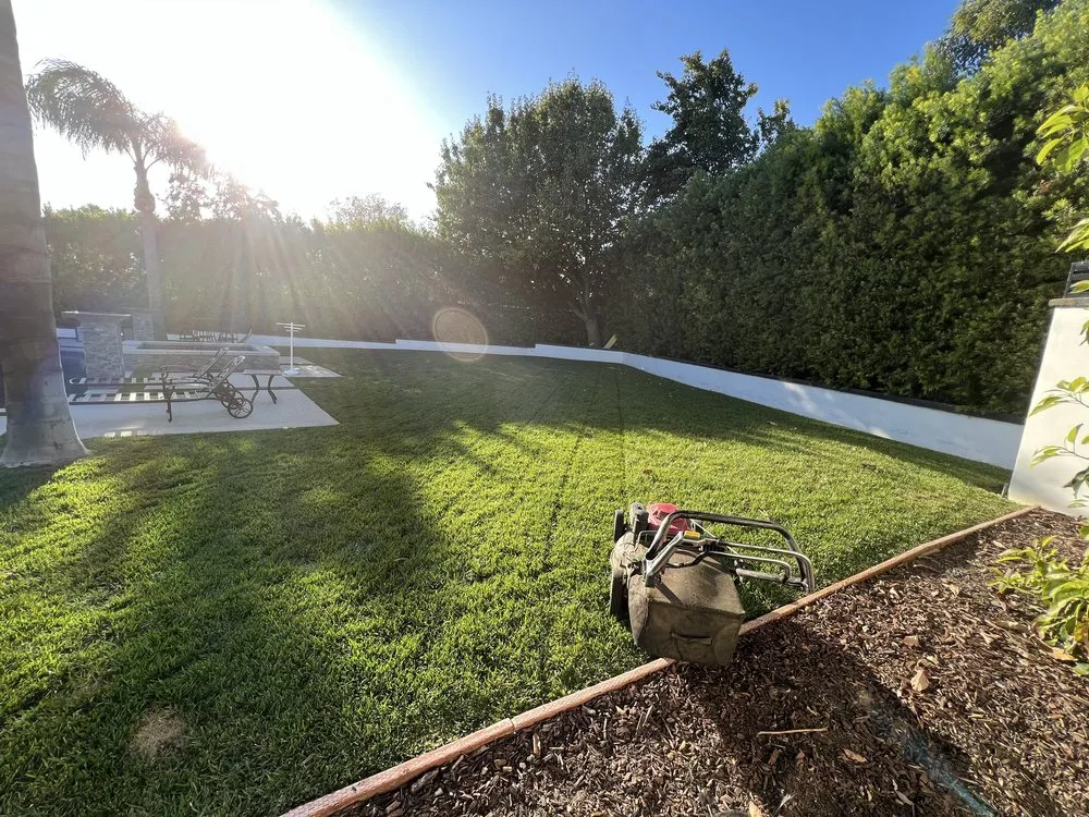 Expert yard cleanup service experts serving San Fernando Valley, CA - Andrade Landscape