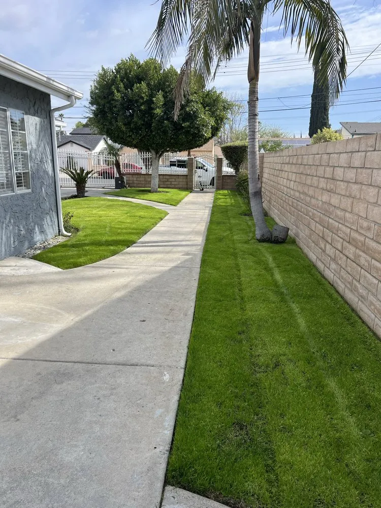 Expert outdoor landscaping in San Fernando Valley, CA - Andrade Landscape