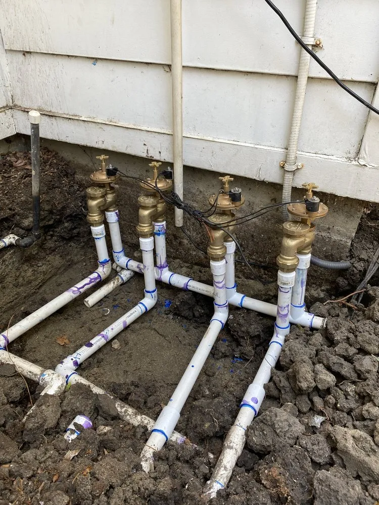 Expert garden landscaping for year-round maintenance across San Fernando Valley, CA - Andrade Landscape