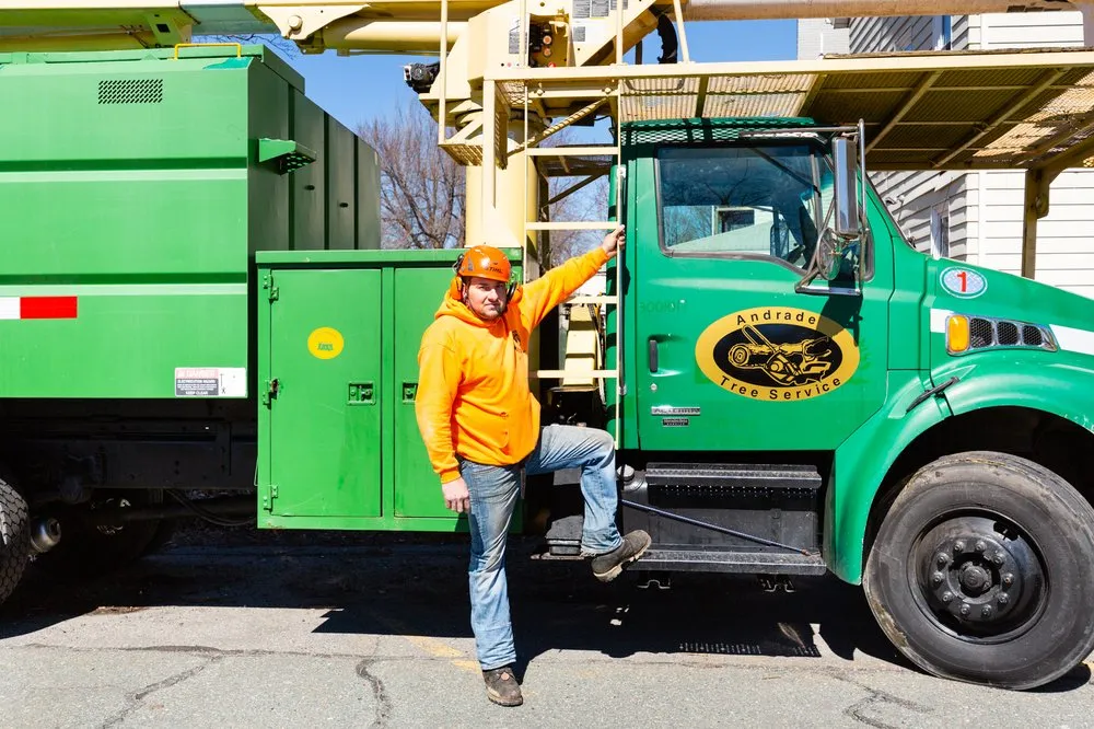 Expert outdoor landscaping in Lynn, MA by Andrade Tree Service