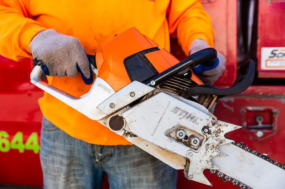 Reliable residential landscaping experts serving Lynn, MA - Andrade Tree Service