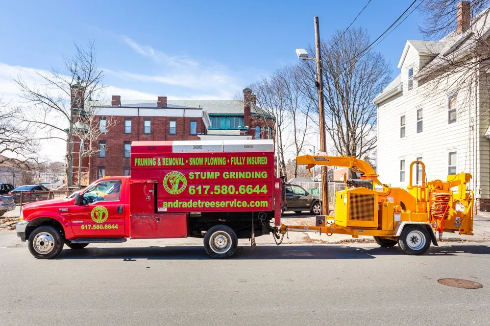 Custom outdoor landscaping experts serving Lynn, MA - Andrade Tree Service